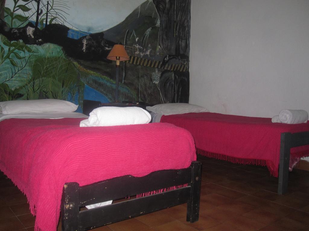 Hotel Minerva Buenos Aires Room photo
